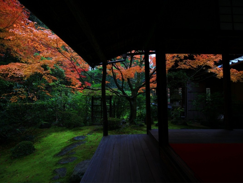 桂春院(指定文化財)