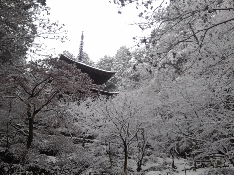 金剛輪寺(国指定文化財)