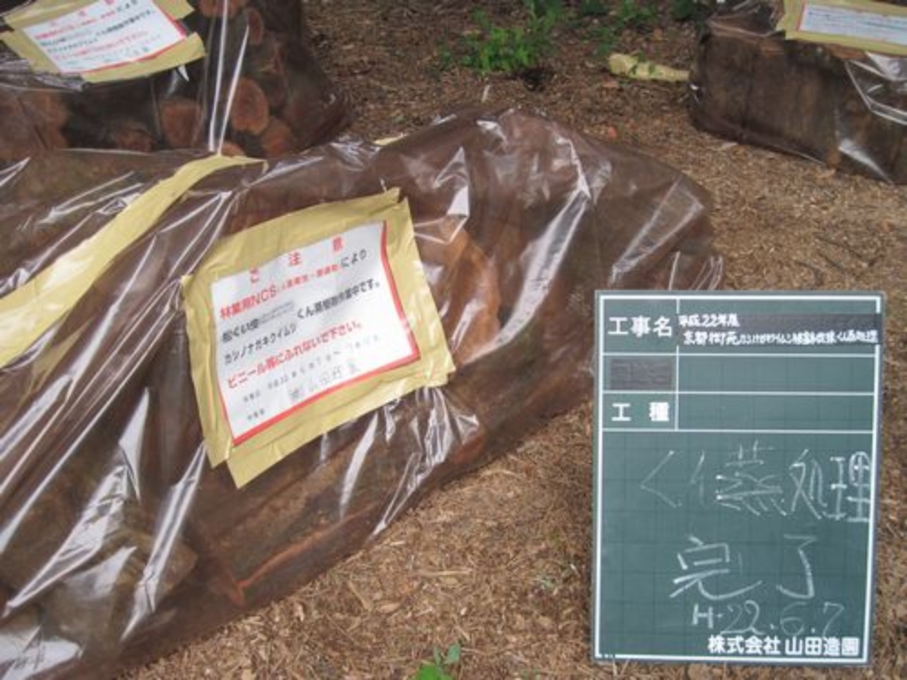 京都御苑・カシノナガキクイムシ被害木伐採くん蒸