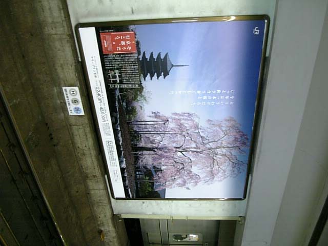 「そうだ 京都、行こう。」キャンペーン
